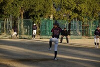 img_20231126-201642.jpg