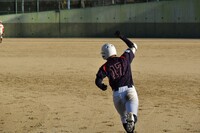 img_20231126-201653.jpg