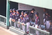 img_20240410-092207.jpg