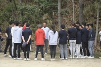 img_20240410-095223.jpg
