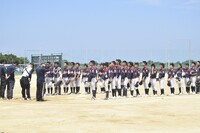 img_20240805-204910.jpg