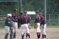 img_20241018-201737.jpg