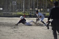 img_20241026-195002.jpg