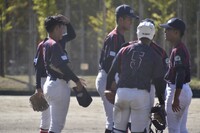 img_20241026-195035.jpg