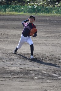 img_20241111-204531.jpg