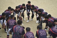 img_20241117-210533.jpg