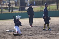 img_20241208-233519.jpg