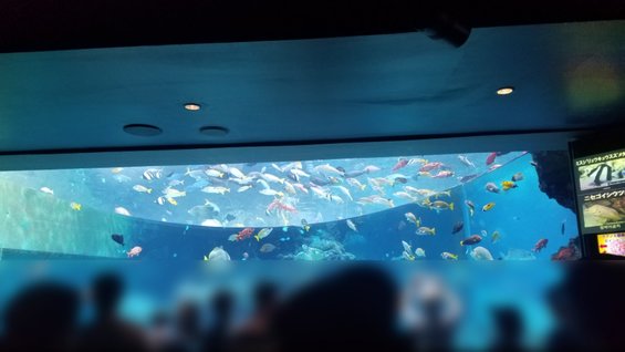 美ら海水族館の画像2