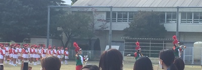 img_20201102-010625.jpg
