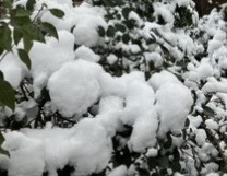 img_20260312-155758.jpg
