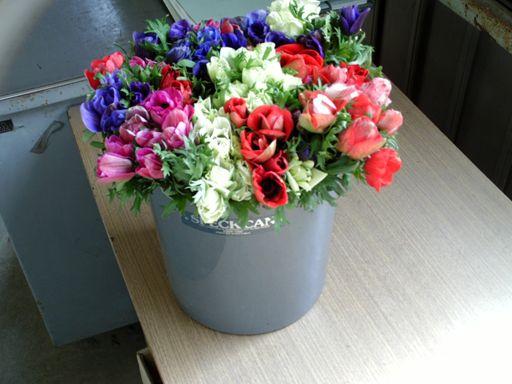 アネモネ デカン