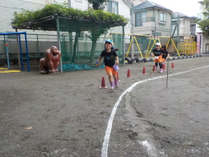 img_20200721-042230.jpg