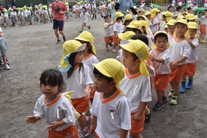 img_20200722-054908.jpg