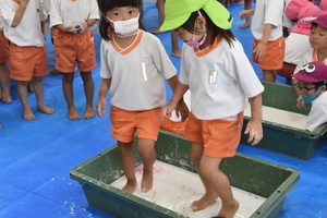 img_20200826-065223.jpg