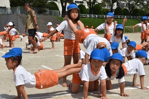img_20200916-061743.jpg