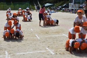 img_20200916-061821.jpg
