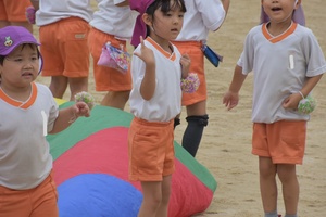 img_20200916-065520.jpg