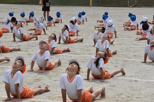 img_20201008-054835.jpg