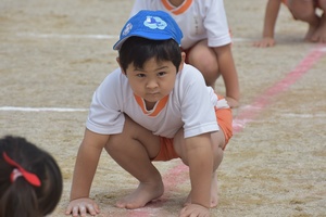 img_20201008-054946.jpg