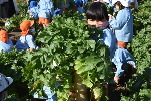 img_20201109-061214.jpg