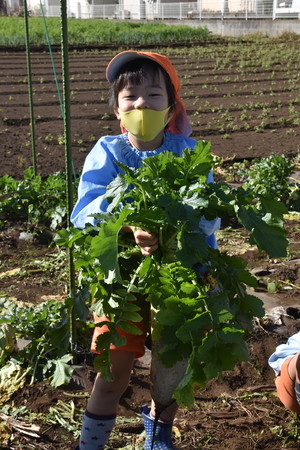img_20201109-061245.jpg