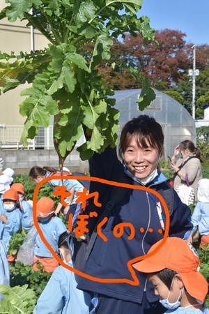 img_20201109-061312.jpg