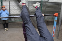 img_20201112-061822.jpg