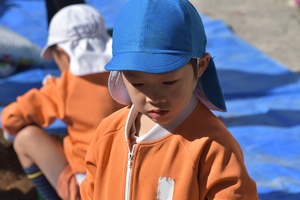 img_20201113-041923.jpg