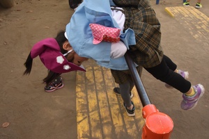 img_20201119-063937.jpg