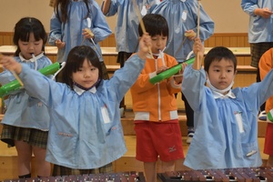 img_20201127-061417.jpg