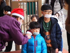 img_20201205-033436.jpg