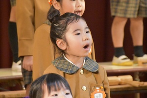 img_20201212-040734.jpg