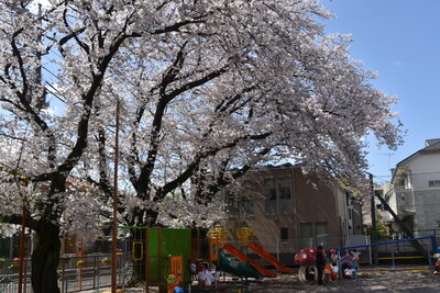 img_20210329-025325.jpg