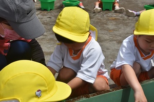 img_20210514-044324.jpg