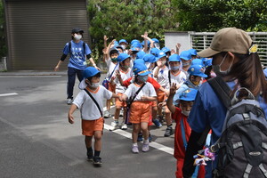 img_20210528-043828.jpg
