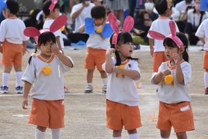 img_20211011-001146.jpg