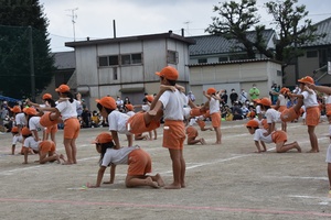 img_20211011-001716.jpg
