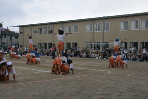 img_20211011-001754.jpg