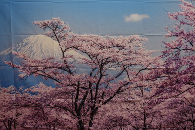 img_20220302-071410.jpg