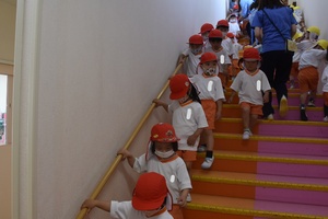 img_20220413-055335.jpg