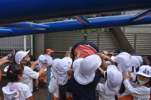 img_20220421-063144.jpg