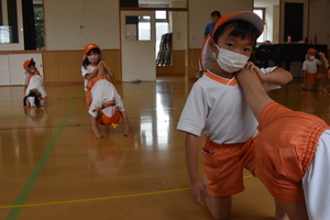 img_20220705-053829.jpg