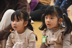 img_20221020-043231.jpg