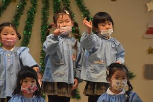img_20221202-055936.jpg