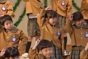 img_20221210-041754.jpg