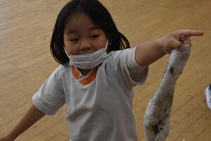 img_20221215-043308.jpg