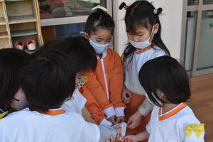 img_20230209-043559.jpg