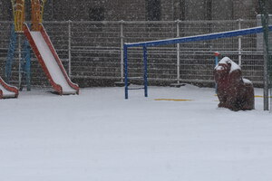 img_20230210-062542.jpg