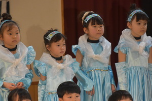 img_20230211-061256.jpg