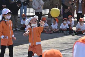 img_20230307-094621.jpg